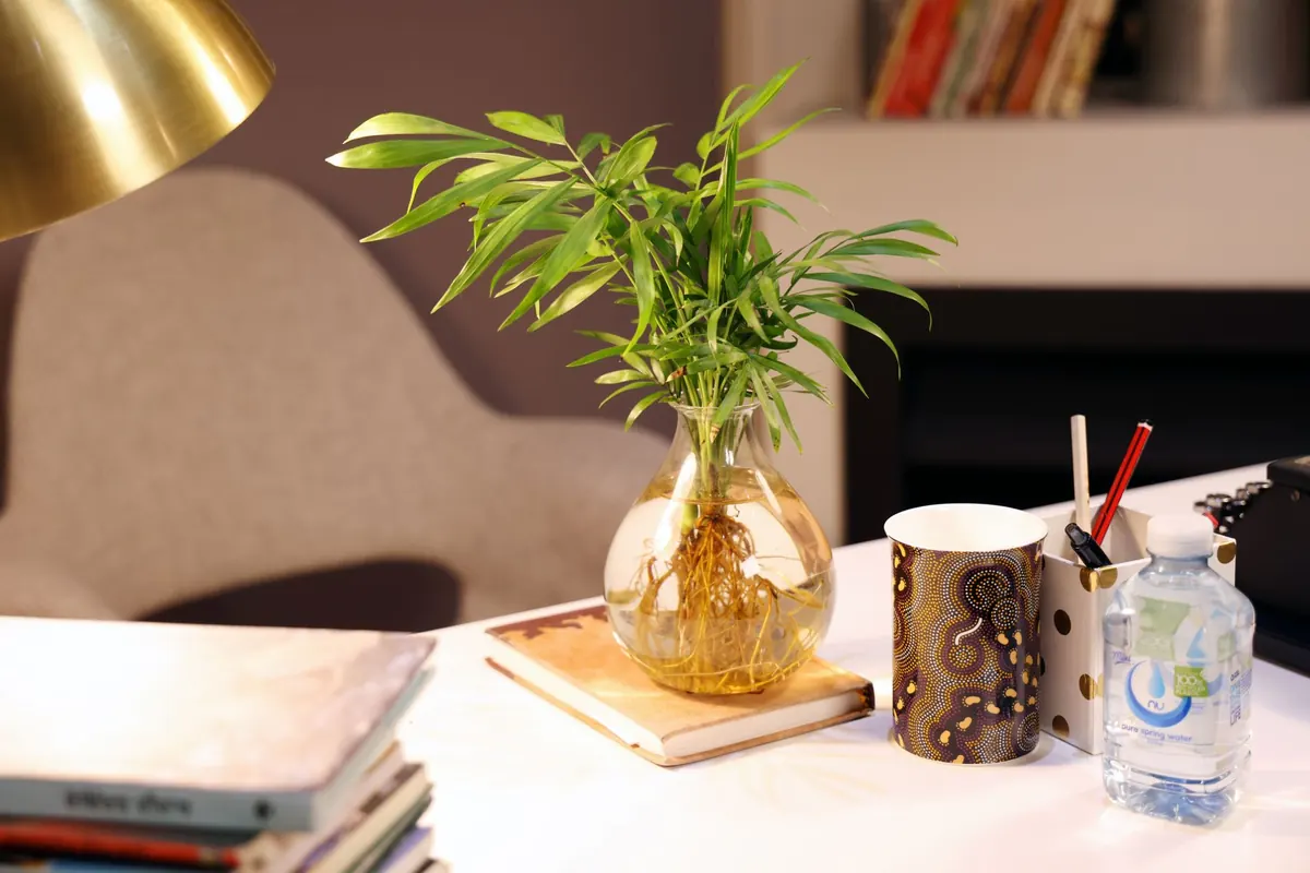 A Beginner's Guide to Creating a Calm Home Office Corner